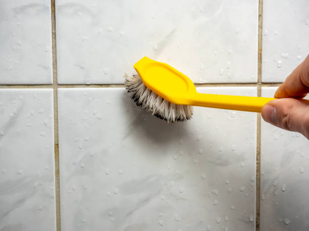 Best Affordable Mold Removal  in Four Corners, TX