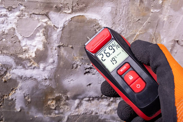 Best Office Mold Removal Services  in Four Corners, TX