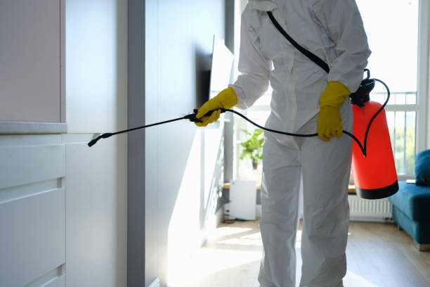 Best Residential Mold Removal  in Four Corners, TX