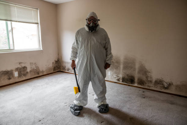 Best Local Mold Removal Service  in Four Corners, TX